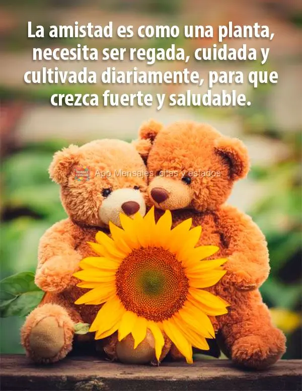 La amistad es como una planta, necesita ser regada, cuidada y cultivada diariamente, para que crezca fuerte y saludable.