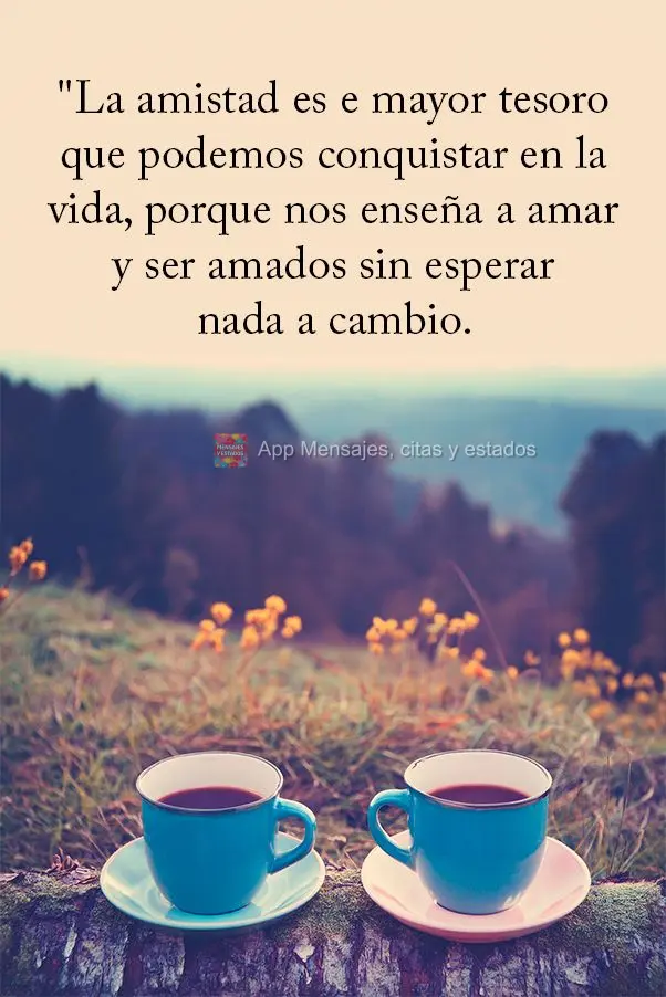 "La amistad es e mayor tesoro que podemos conquistar en la vida, porque nos enseña a amar y ser amados sin esperar nada a cambio.
