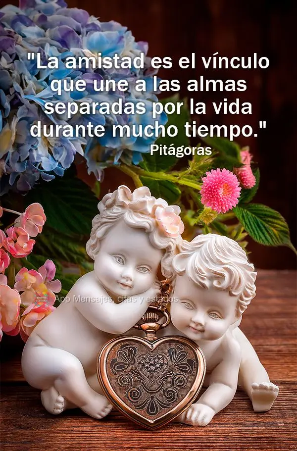 "La amistad es el vínculo que une a las almas separadas por la vida durante mucho tiempo." Pitágoras