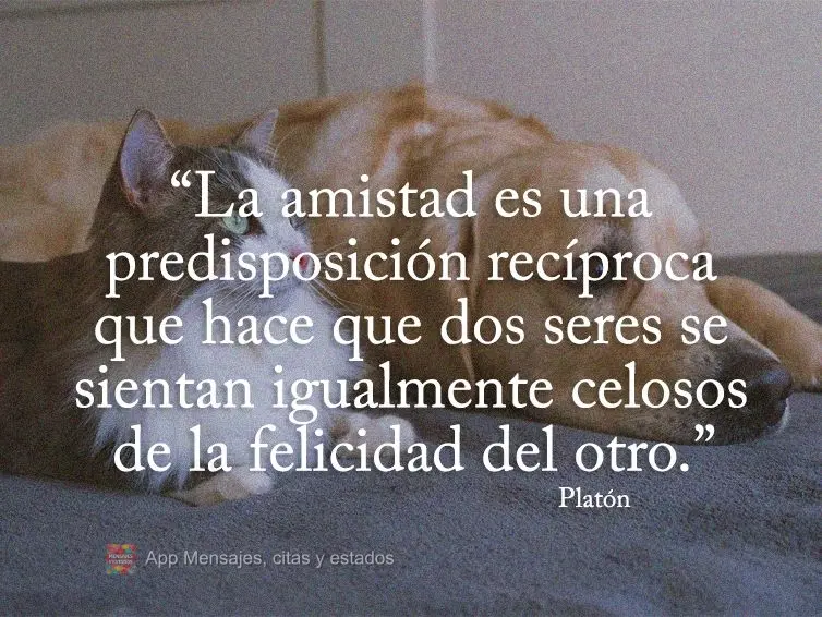 "La amistad es una predisposición recíproca que hace que dos seres se sientan igualmente celosos de la felicidad del otro". Platón