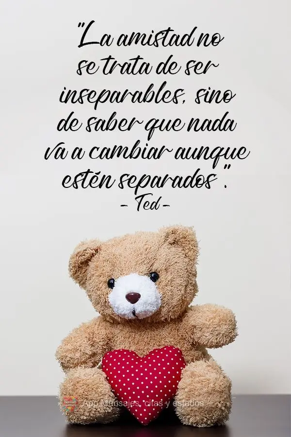 "La amistad no se trata de ser inseparables, sino de saber que nada va a cambiar aunque estén separados". Ted