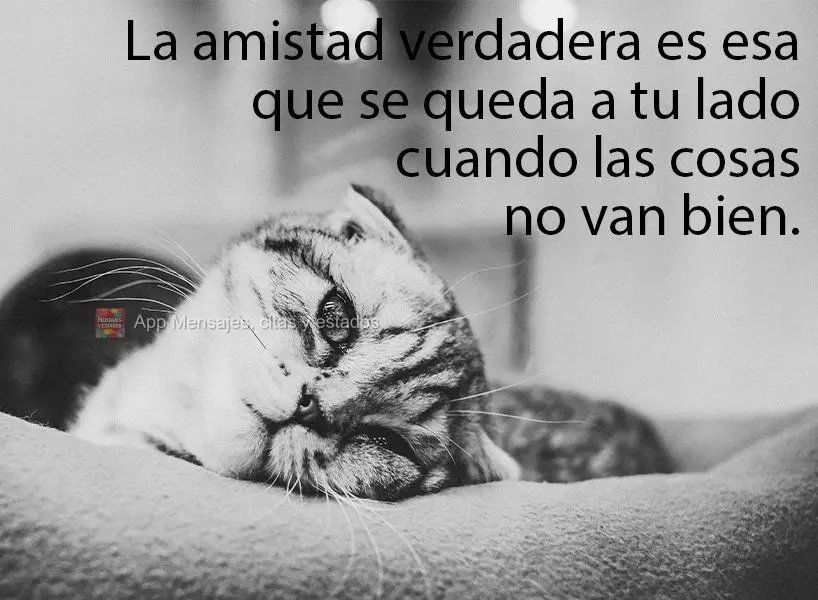 La amistad verdadera es esa que se queda a tu lado cuando las cosas no van bien.