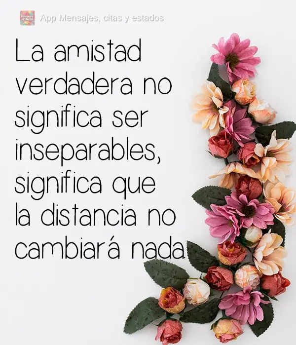 La amistad verdadera no significa ser inseparables, significa que la distancia no cambiará nada.