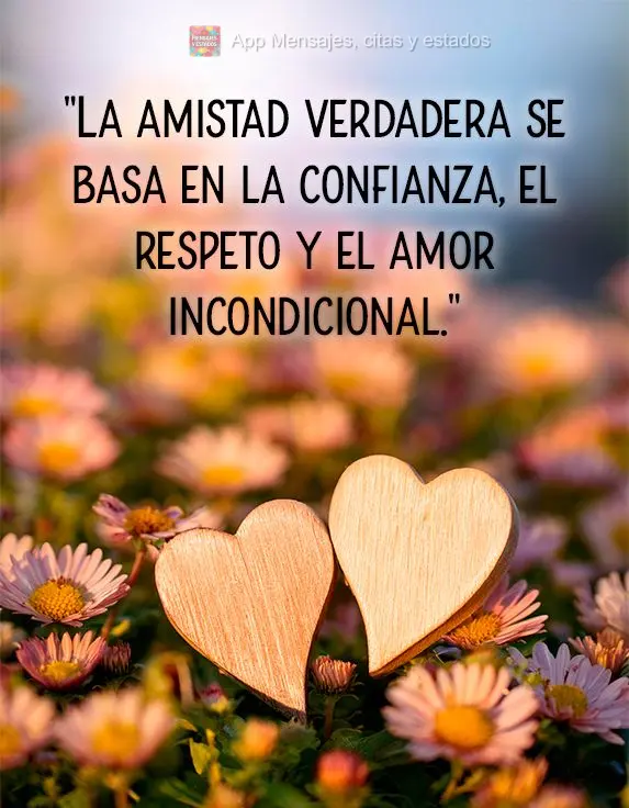 "La amistad verdadera se basa en la confianza, el respeto y el amor incondicional."