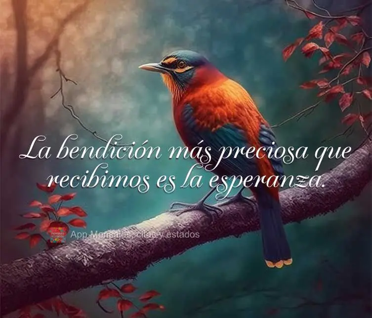 La bendición más preciosa que recibimos es la esperanza.