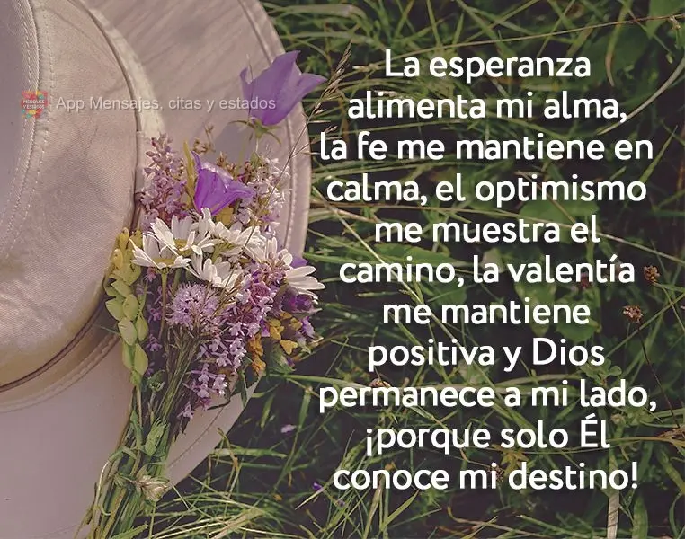 La esperanza alimenta mi alma, la fe me mantiene en calma, el optimismo me muestra el camino, la valentía me mantiene positiva y Dios permanece a mi lad...