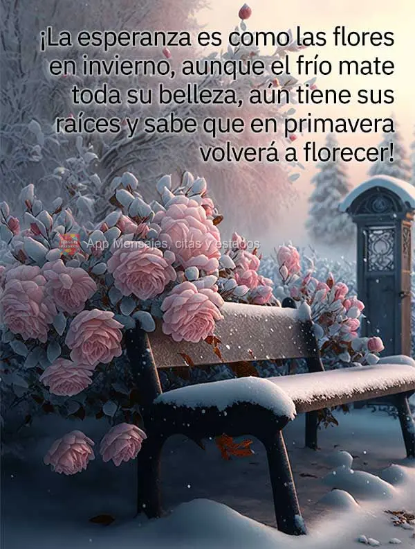¡La esperanza es como las flores en invierno, aunque el frío mate toda su belleza, aún tiene sus raíces y sabe que en primavera volverá a florecer!...