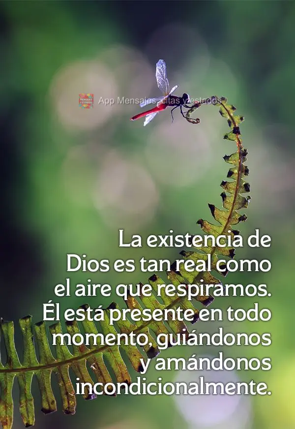 La existencia de Dios es tan real como el aire que respiramos. Él está presente en todo momento, guiándonos y amándonos incondicionalmente. 