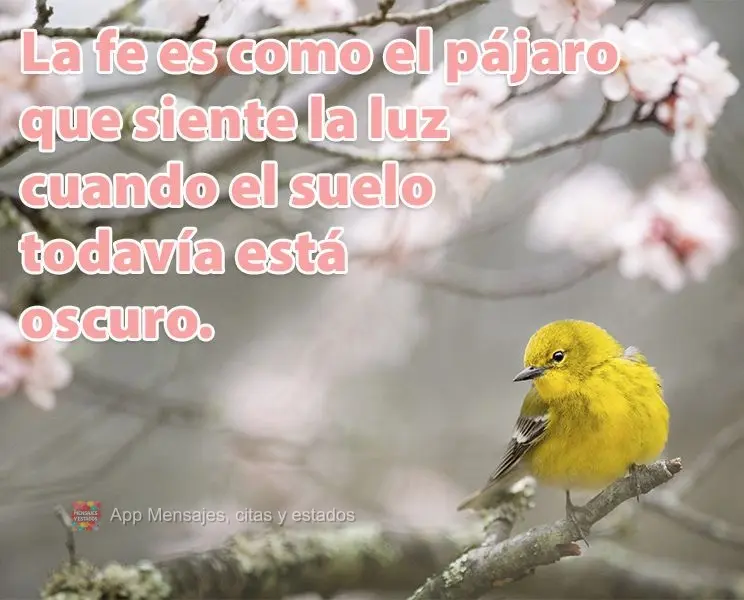 La fe es como el pájaro que siente la luz cuando el suelo todavía está oscuro.