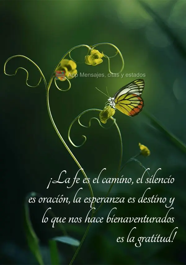¡La fe es el camino, el silencio es oración, la esperanza es destino y lo que nos hace bienaventurados es la gratitud!