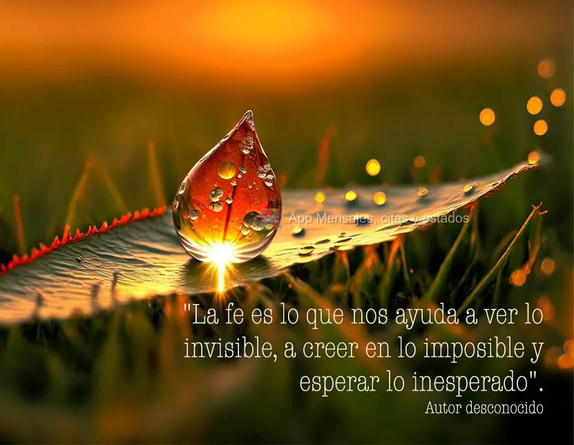 "La fe es lo que nos ayuda a ver lo invisible, a creer en lo imposible y esperar lo inesperado". Autor Desconhecido