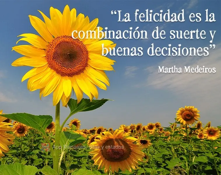 "La felicidad es la combinación de suerte y buenas decisiones".  Martha Medeiros