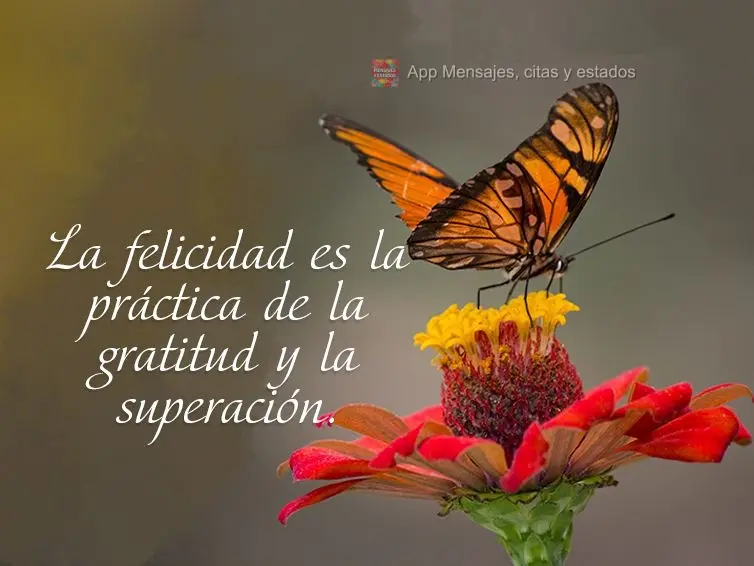 La felicidad es la práctica de la gratitud y la superación.