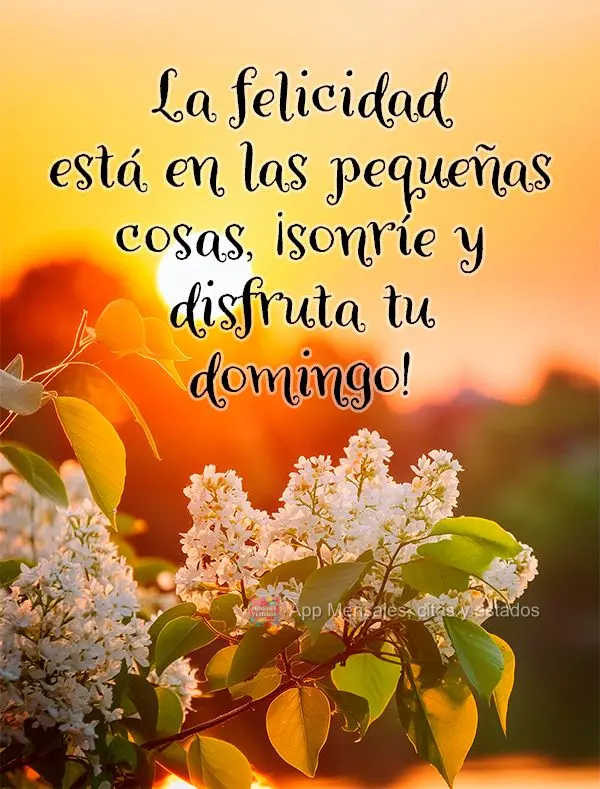 La felicidad está en las pequeñas cosas, ¡sonríe y disfruta tu domingo!