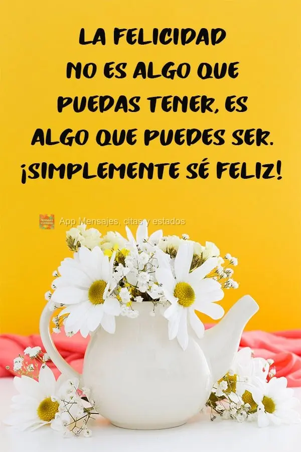 La felicidad no es algo que puedas tener, es algo que puedes ser. ¡Simplemente sé feliz!