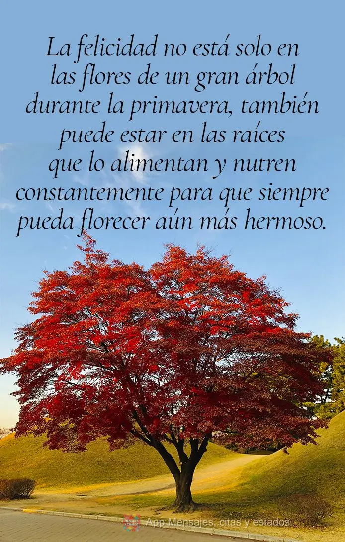 La felicidad no está solo en las flores de un gran árbol durante la primavera, también puede estar en las raíces que lo alimentan y nutren constantem...