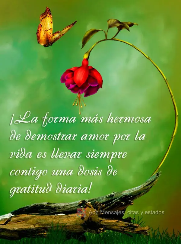¡La forma más hermosa de demostrar amor por la vida es llevar siempre contigo una dosis de gratitud diaria!