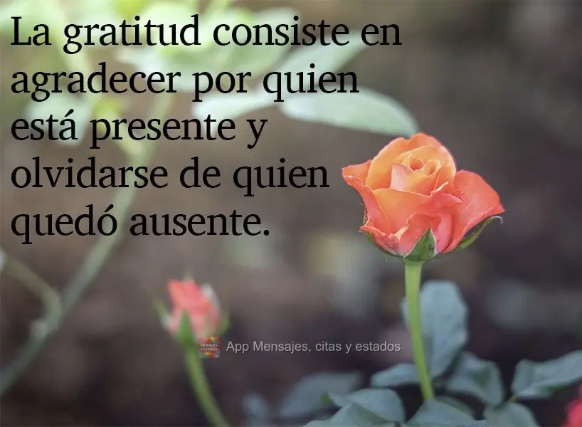 La gratitud consiste en agradecer por quien está presente y olvidarse de quien quedó ausente.