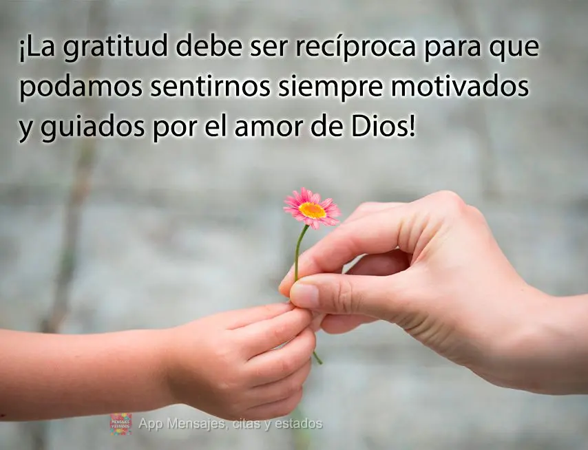 ¡La gratitud debe ser recíproca para que podamos sentirnos siempre motivados y guiados por el amor de Dios!