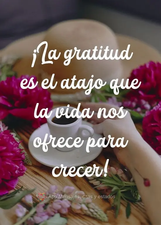 ¡La gratitud es el atajo que la vida nos ofrece para crecer!