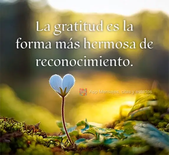 La gratitud es la forma más hermosa de reconocimiento.