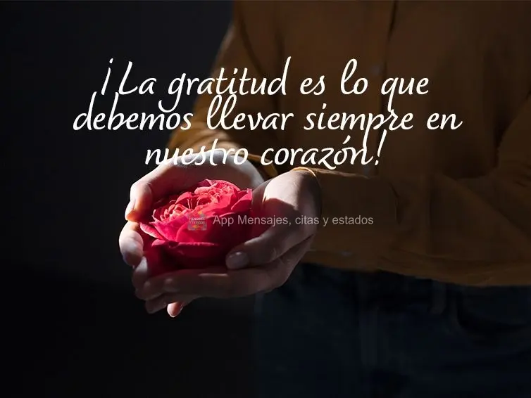¡La gratitud es lo que debemos llevar siempre en nuestro corazón!