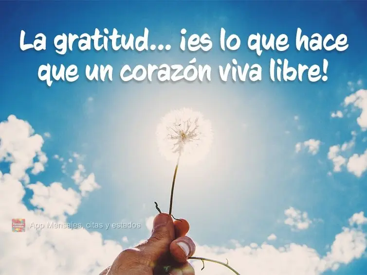 La gratitud ... ¡es lo que hace que un corazón viva libre!
