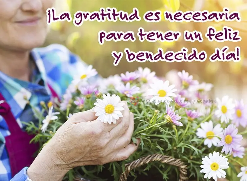 ¡La gratitud es necesaria para tener un feliz y bendecido día!