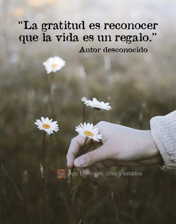 “La gratitud es reconocer que la vida es un regalo.” Autor desconocido