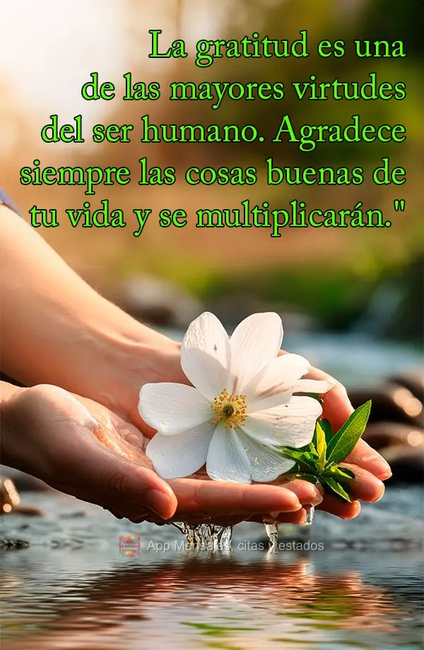 La gratitud es una de las mayores virtudes del ser humano. Agradece siempre las cosas buenas de tu vida y se multiplicarán."