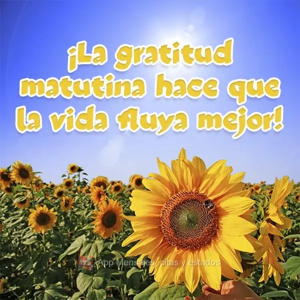 ¡La gratitud matutina hace que la vida fluya mejor!