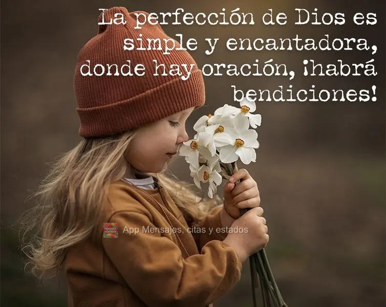 La perfección de Dios es simple y encantadora, donde hay oración, ¡habrá bendiciones!