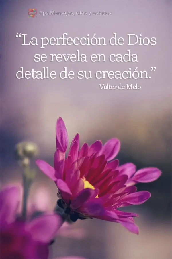 "La perfección de Dios se revela en cada detalle de su creación".  Valter de Melo