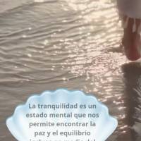 La tranquilidad es un estado mental que nos permite encontrar la paz y el equilibrio incluso en medio del caos. 
de la vida.