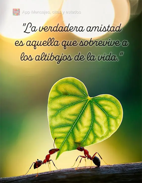 "La verdadera amistad es aquella que sobrevive a los altibajos de la vida."