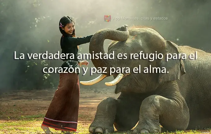 La verdadera amistad es refugio para el corazón y paz para el alma.