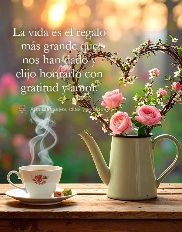 La vida es el regalo más grande que nos han dado y elijo honrarlo con gratitud y amor.