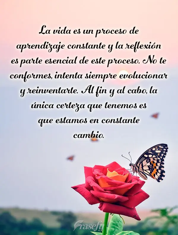 La vida es un proceso de aprendizaje constante y la reflexión es parte esencial de este proceso. No te conformes, intenta siempre evolucionar y reinvent...
