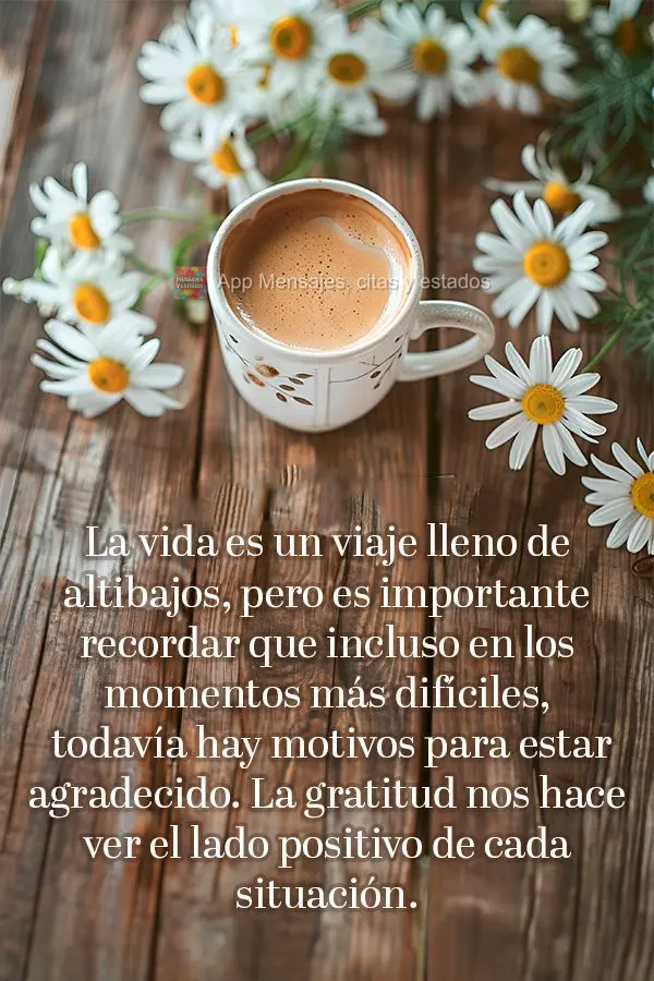 La vida es un viaje lleno de altibajos, pero es importante recordar que incluso en los momentos más difíciles, todavía hay motivos para estar agradeci...