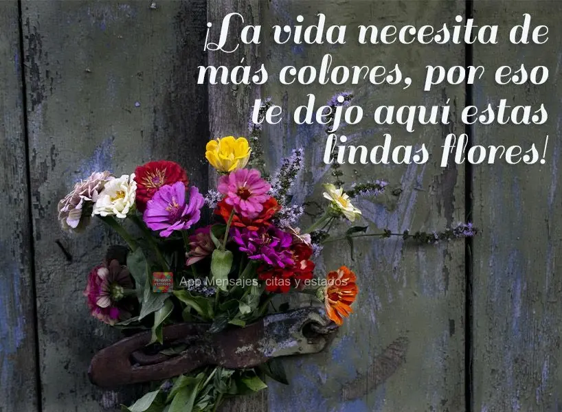 ¡La vida necesita de más colores, por eso te dejo aquí estas lindas flores