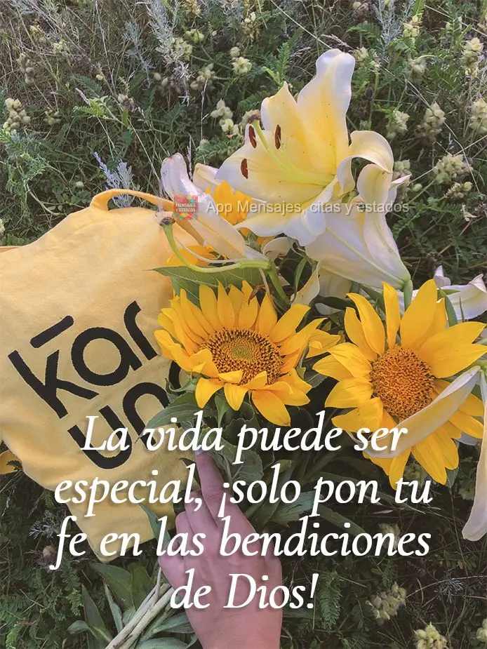 La vida puede ser especial, ¡solo pon tu fe en las bendiciones de Dios!