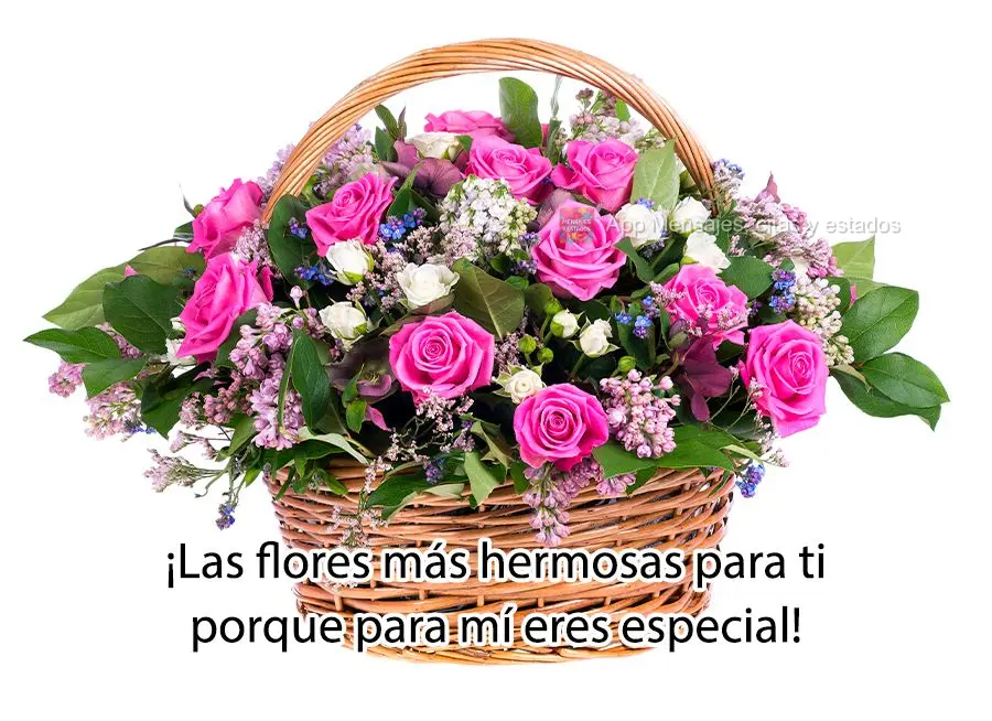¡Las flores más hermosas para ti porque para mí eres especial!