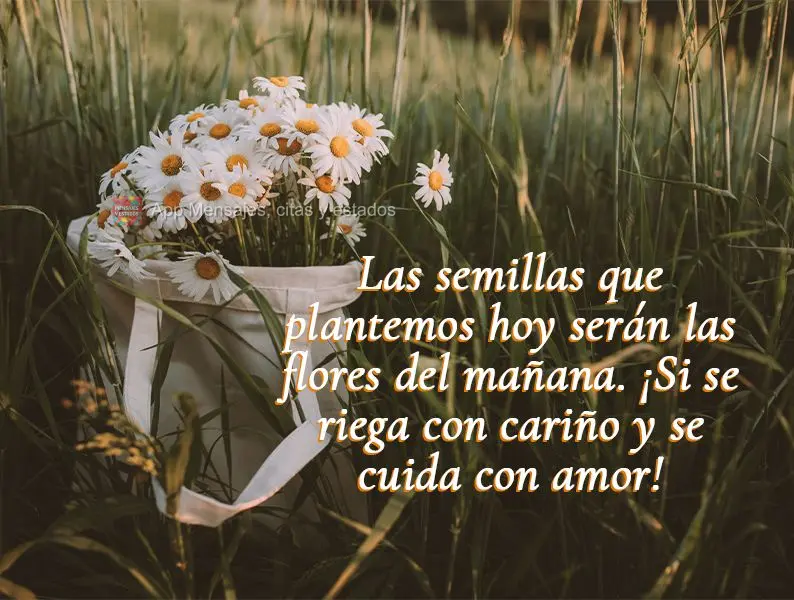 Las semillas que plantemos hoy serán las flores del mañana. ¡Si se riega con cariño y se cuida con amor!
