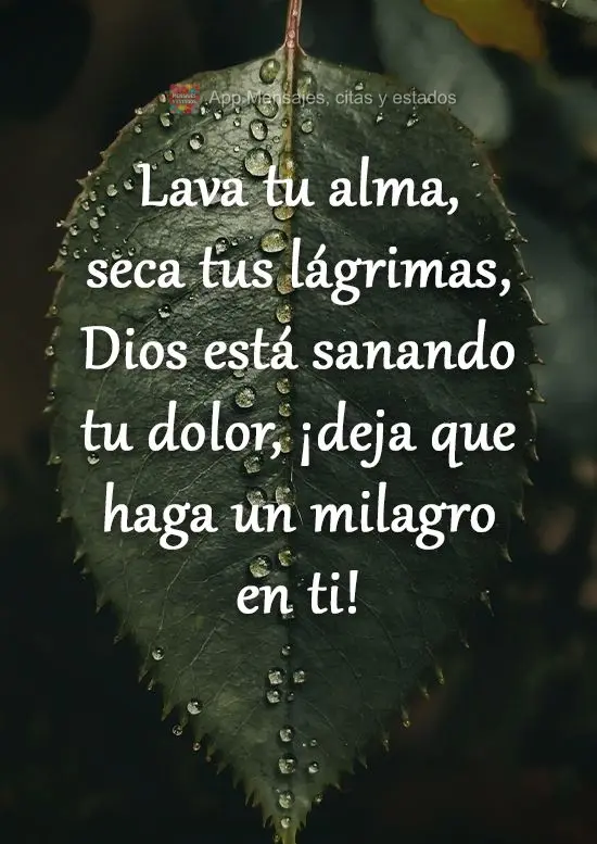 Lava tu alma, seca tus lágrimas, Dios está sanando tu dolor, ¡deja que haga un milagro en ti!