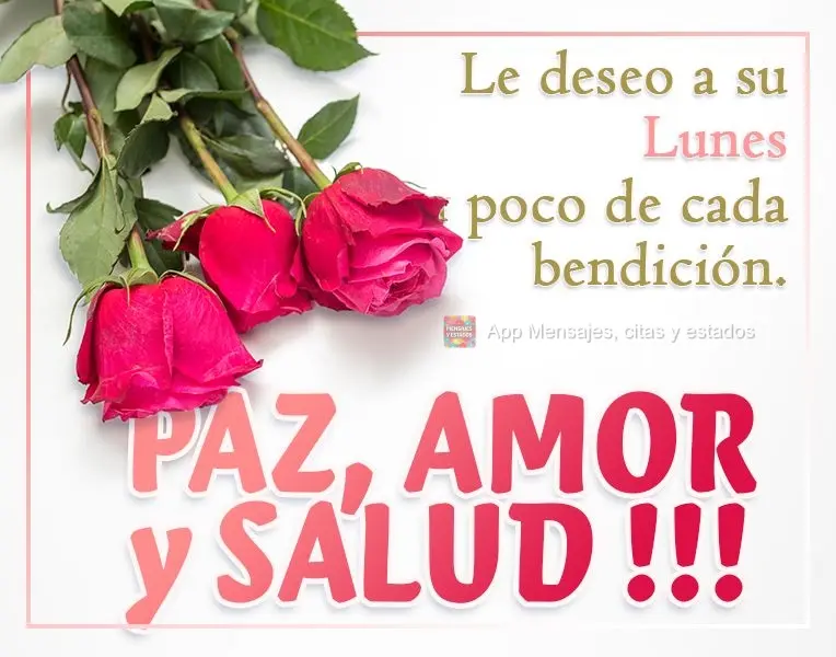 Le deseo a su lunes un poco de cada bendición. PAZ, AMOR y SALUD !!!