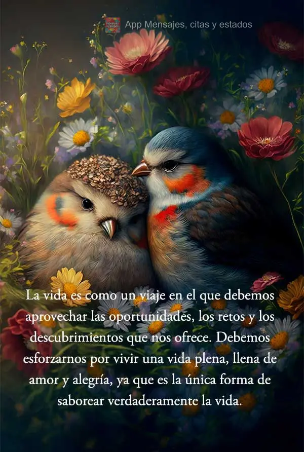 La vida es como un viaje en el que debemos aprovechar las oportunidades, los retos y los descubrimientos que nos ofrece. Debemos esforzarnos por vivir un...