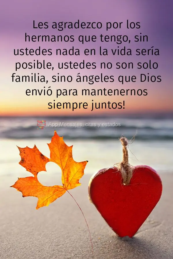 Les agradezco por los hermanos que tengo, sin ustedes nada en la vida sería posible, ustedes no son solo familia, sino ángeles que Dios envió para man...