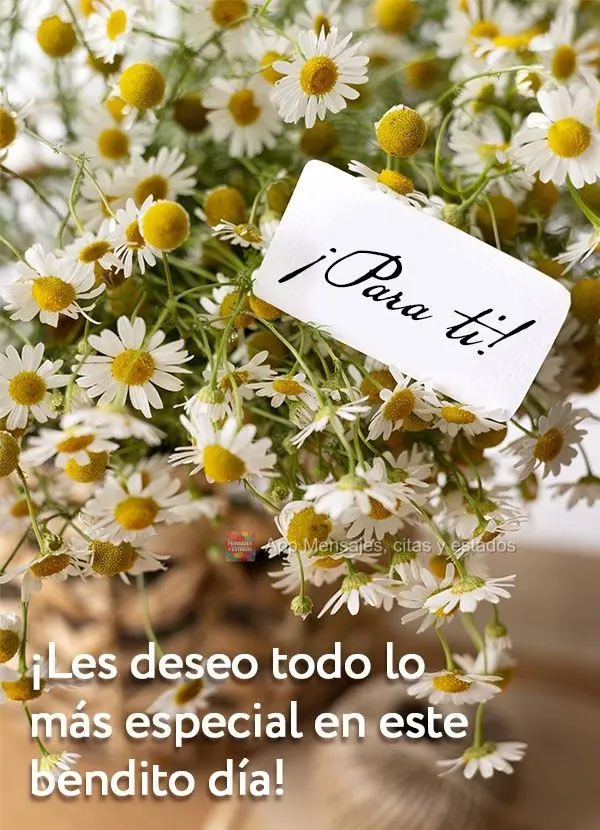 ¡Les deseo todo lo más especial en este bendito día! ¡Para ti!