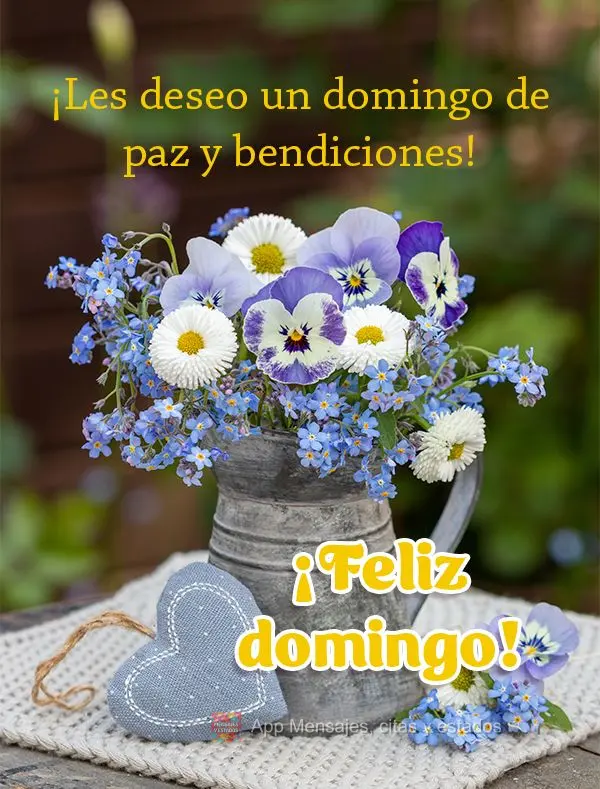 ¡Les deseo un domingo de paz y bendiciones! ¡Feliz domingo!