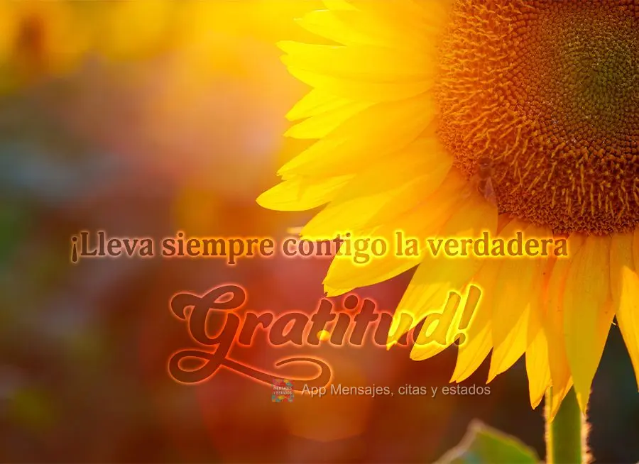 ¡Lleva siempre contigo la verdadera gratitud!
